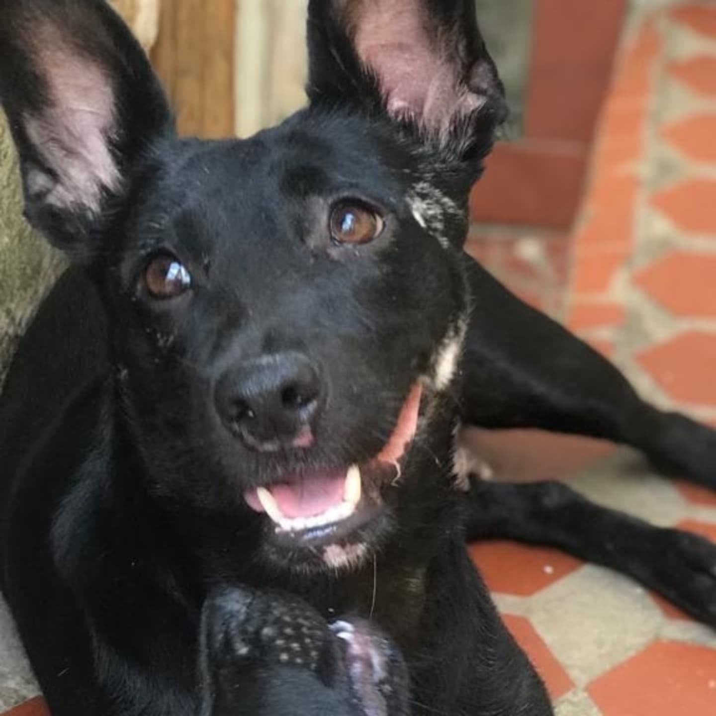 Foto da Bernadete